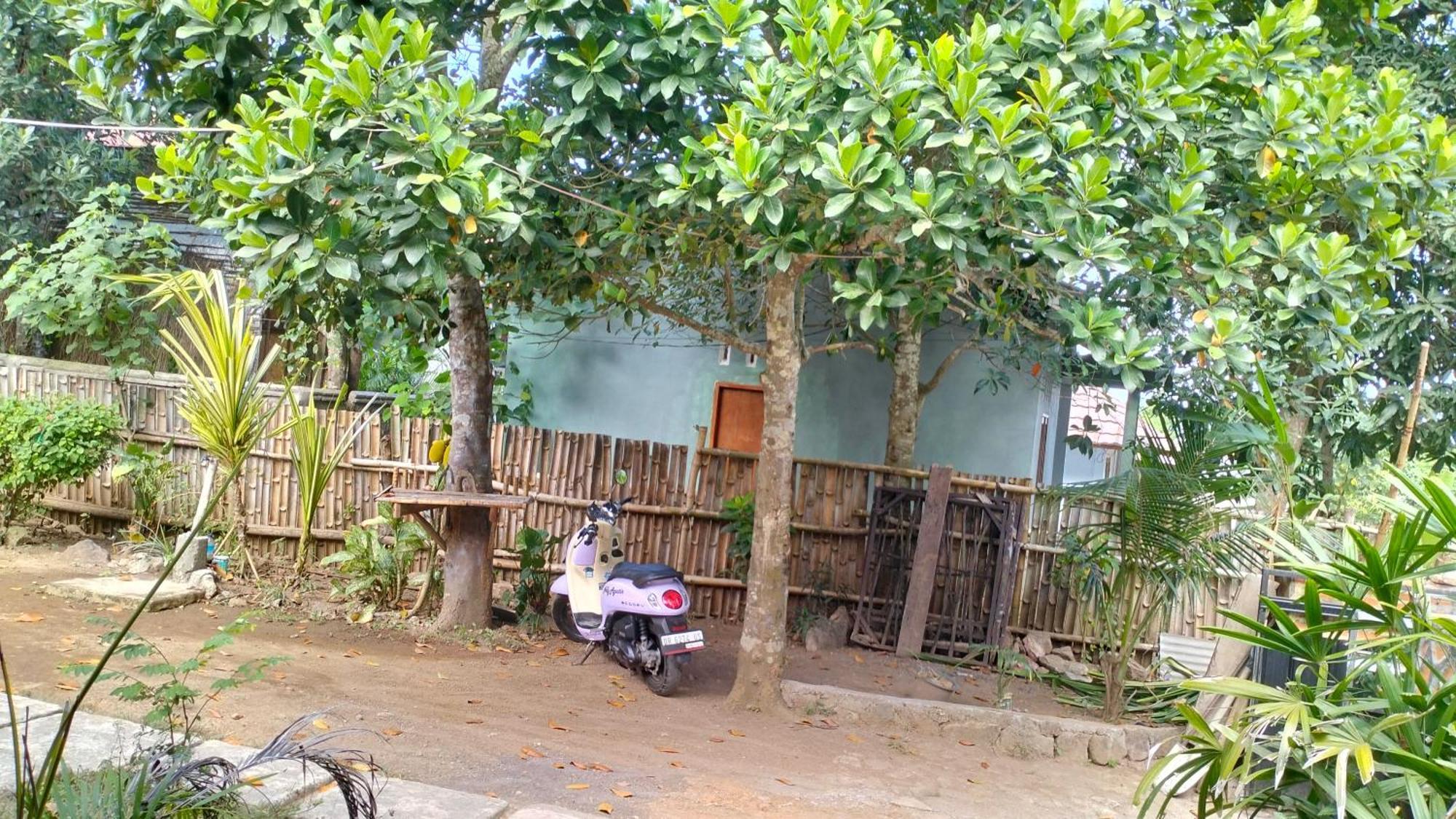 Palm Homestay Kuta Kuta  Exterior photo